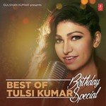 Best Of Tulsi Kumar - Birthday Special - Yasser Desai Song Download